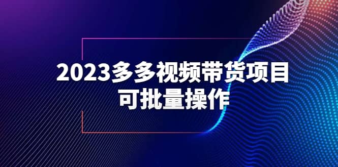 2023多多视频带货项目，可批量操作【保姆级教学】_优优资源网