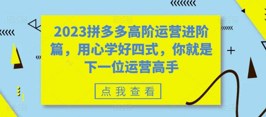 2023拼多多高阶运营进阶篇，用心学好四式，你就是下一位运营高手_优优资源网