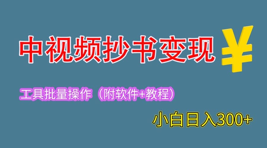 2023中视频抄书变现（附工具 教程），一天300 ，特别适合新手操作的副业_优优资源网