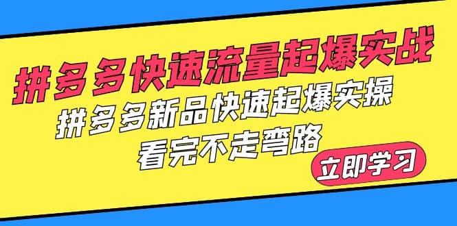 拼多多-快速流量起爆实战，拼多多新品快速起爆实操，看完不走弯路_优优资源网