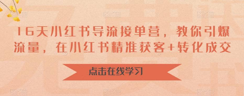 16天-小红书 导流接单营，教你引爆流量，在小红书精准获客 转化成交_优优资源网