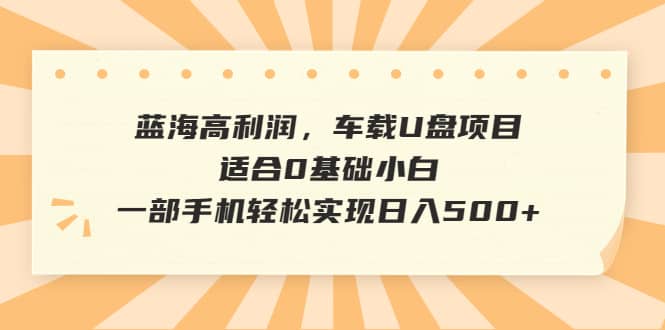 蓝海高利润，车载U盘项目，适合0基础小白，一部手机轻松实现日入500_优优资源网