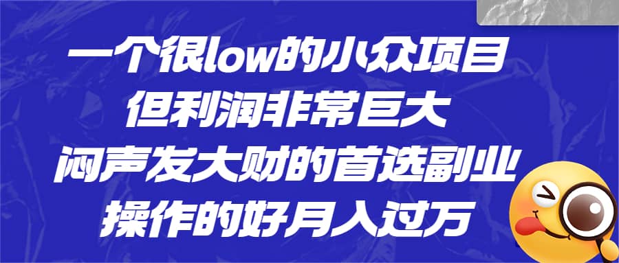 一个很low的小众项目，但利润非常巨大，闷声发大财的首选副业，月入过万_优优资源网