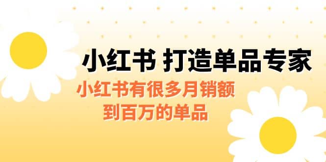 某公众号付费文章《小红书 打造单品专家》小红书有很多月销额到百万的单品_优优资源网