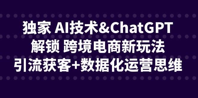 独家 AI技术ChatGPT解锁 跨境电商新玩法，引流获客 数据化运营思维_优优资源网