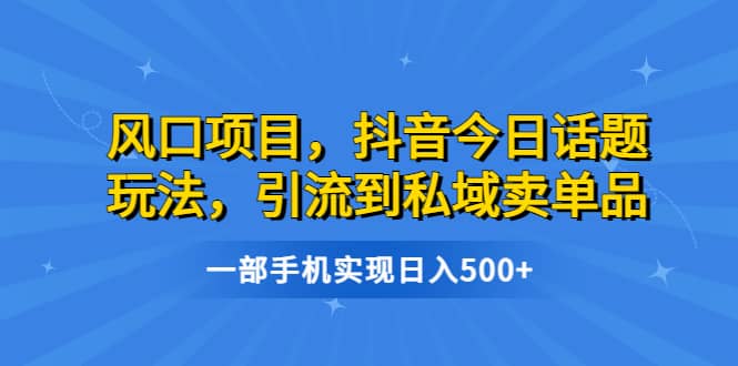 风口项目，抖音今日话题玩法，引流到私域卖单品，一部手机实现日入500_优优资源网