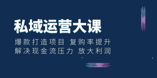 私域运营大课：爆款打造项目 复购率提升 解决现金流压力 放大利润_优优资源网