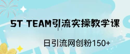 ST TEAM引流实操课，日引流网创粉100_优优资源网