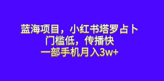 蓝海项目，小红书塔罗占卜，门槛低，传播快，一部手机月入3w_优优资源网