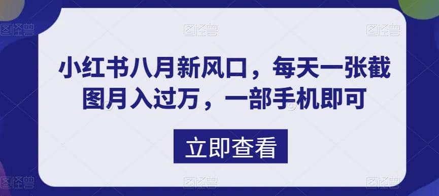 八月新风口，小红书虚拟项目一天收入1000 ，实战揭秘_优优资源网