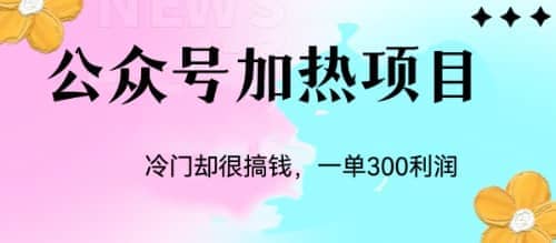 冷门公众号加热项目，一单利润300_优优资源网