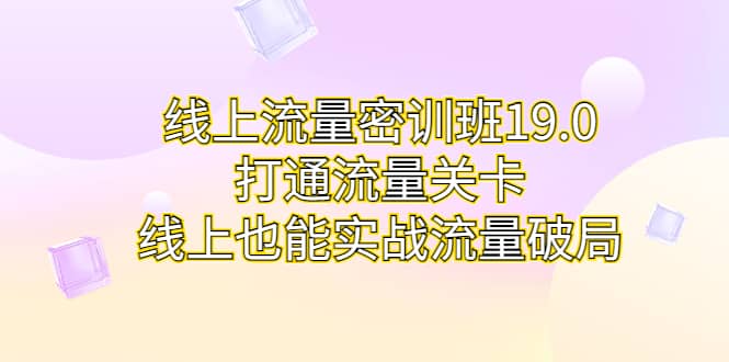 线上流量密训班19.0，打通流量关卡，线上也能实战流量破局_优优资源网