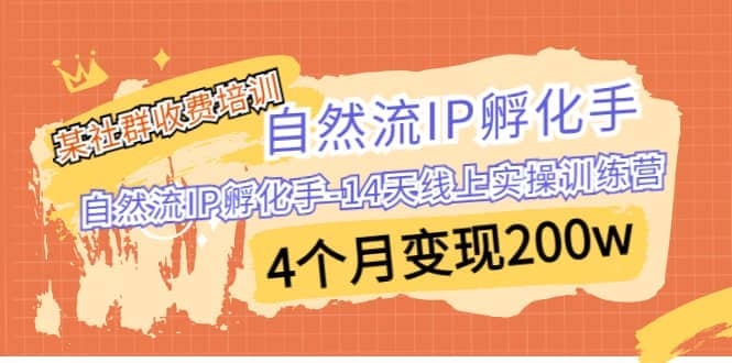 某社群收费培训：自然流IP 孵化手-14天线上实操训练营 4个月变现200w_优优资源网