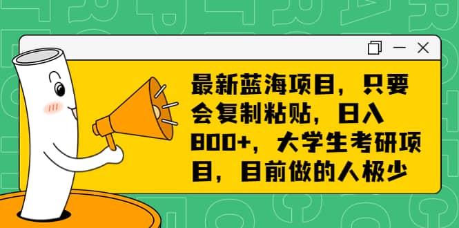 最新蓝海项目，只要会复制粘贴，日入800 ，大学生考研项目，目前做的人极少_优优资源网