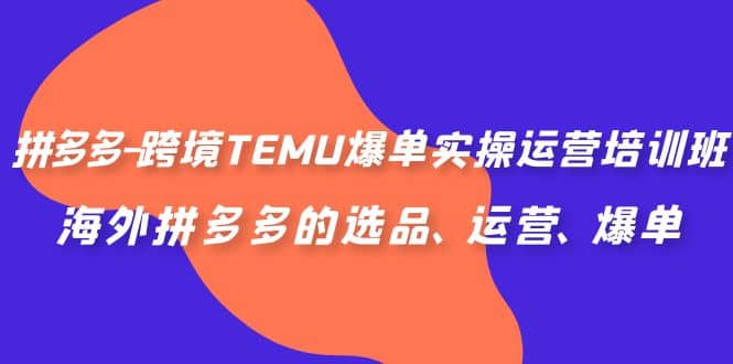 拼多多-跨境TEMU爆单实操运营培训班，海外拼多多的选品、运营、爆单_优优资源网