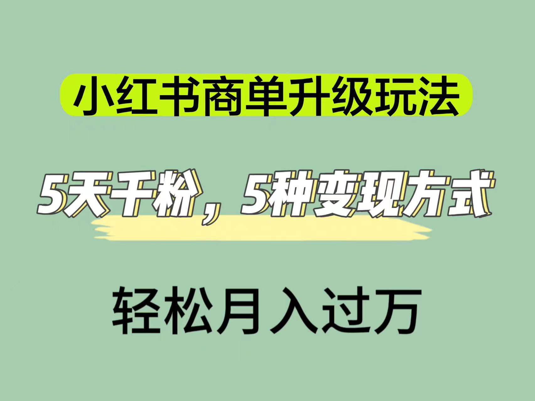 小红书商单升级玩法，5天千粉，5种变现渠道，轻松月入1万_优优资源网