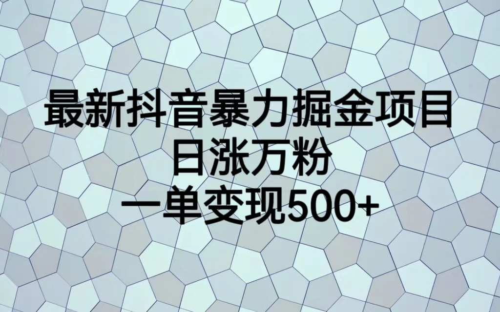 最火热的抖音暴力掘金项目，日涨万粉，多种变现方式，一单变现可达500_优优资源网