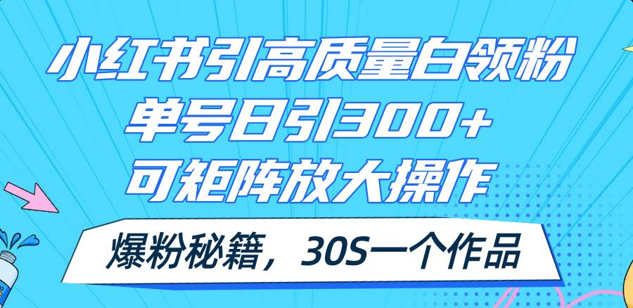 小红书引高质量白领粉，单号日引300+，可放大操作，爆粉秘籍！30s一个作品_优优资源网