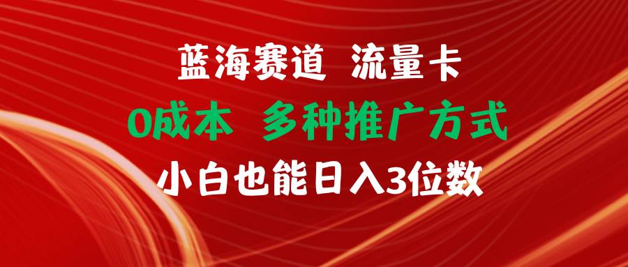 蓝海赛道 流量卡 0成本 小白也能日入三位数_优优资源网