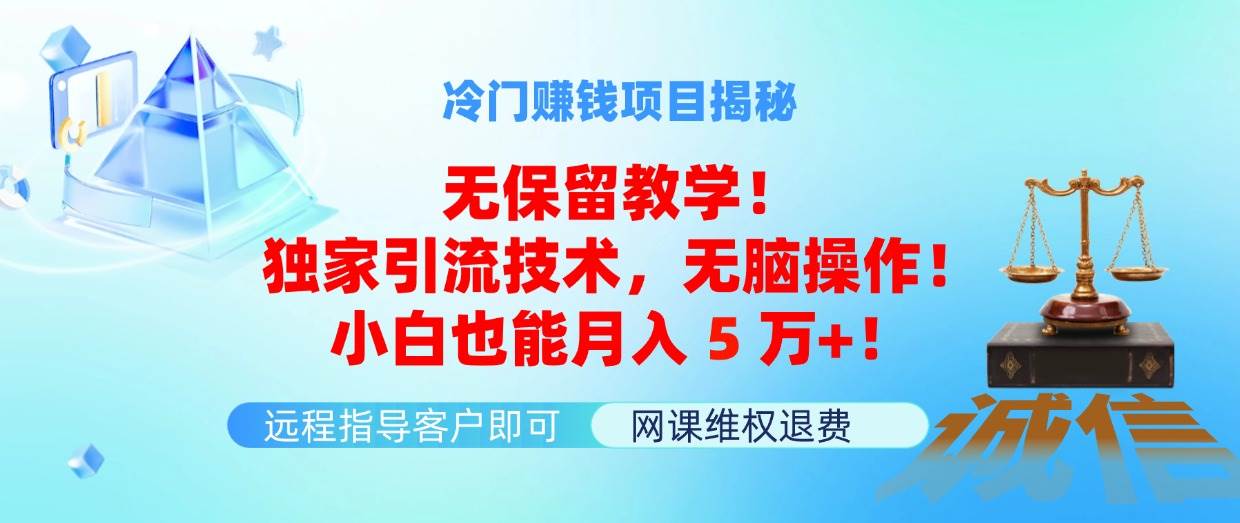 冷门赚钱项目无保留教学！独家引流技术，无脑操作！小白也能月入5万+！_优优资源网