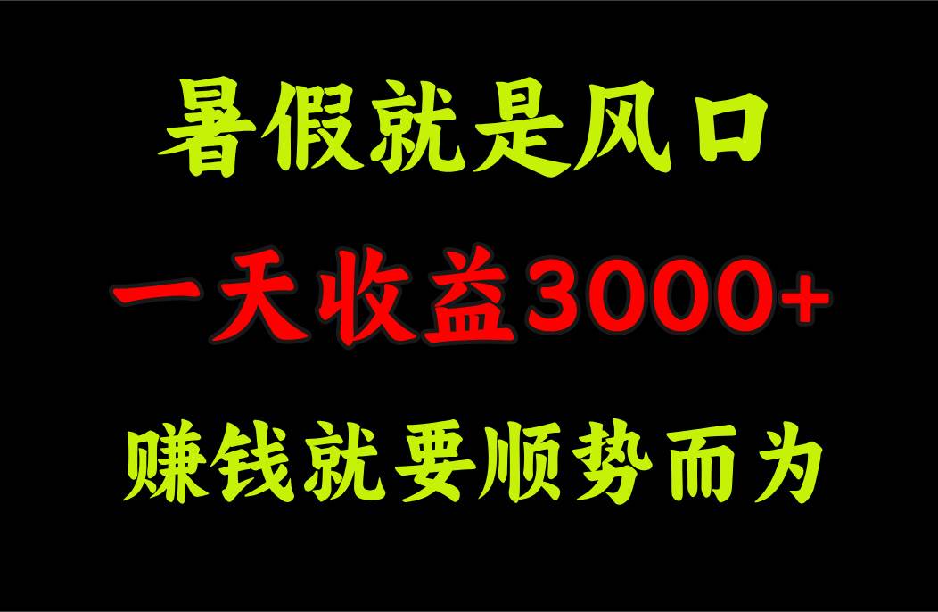 一天收益3000+ 赚钱就是顺势而为，暑假就是风口_优优资源网