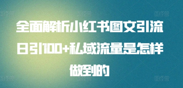 全面解析小红书图文引流日引100私域流量是怎样做到的_优优资源网