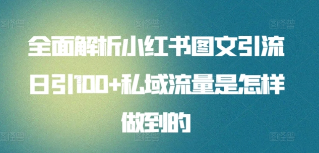 日引流100私域流量小红书图文是怎样做到的全面解析_优优资源网