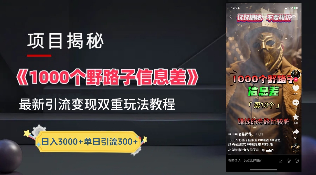 一千个野路子信息差24年最新玩法教程附带变现方法和引流的玩法具体拆解_优优资源网