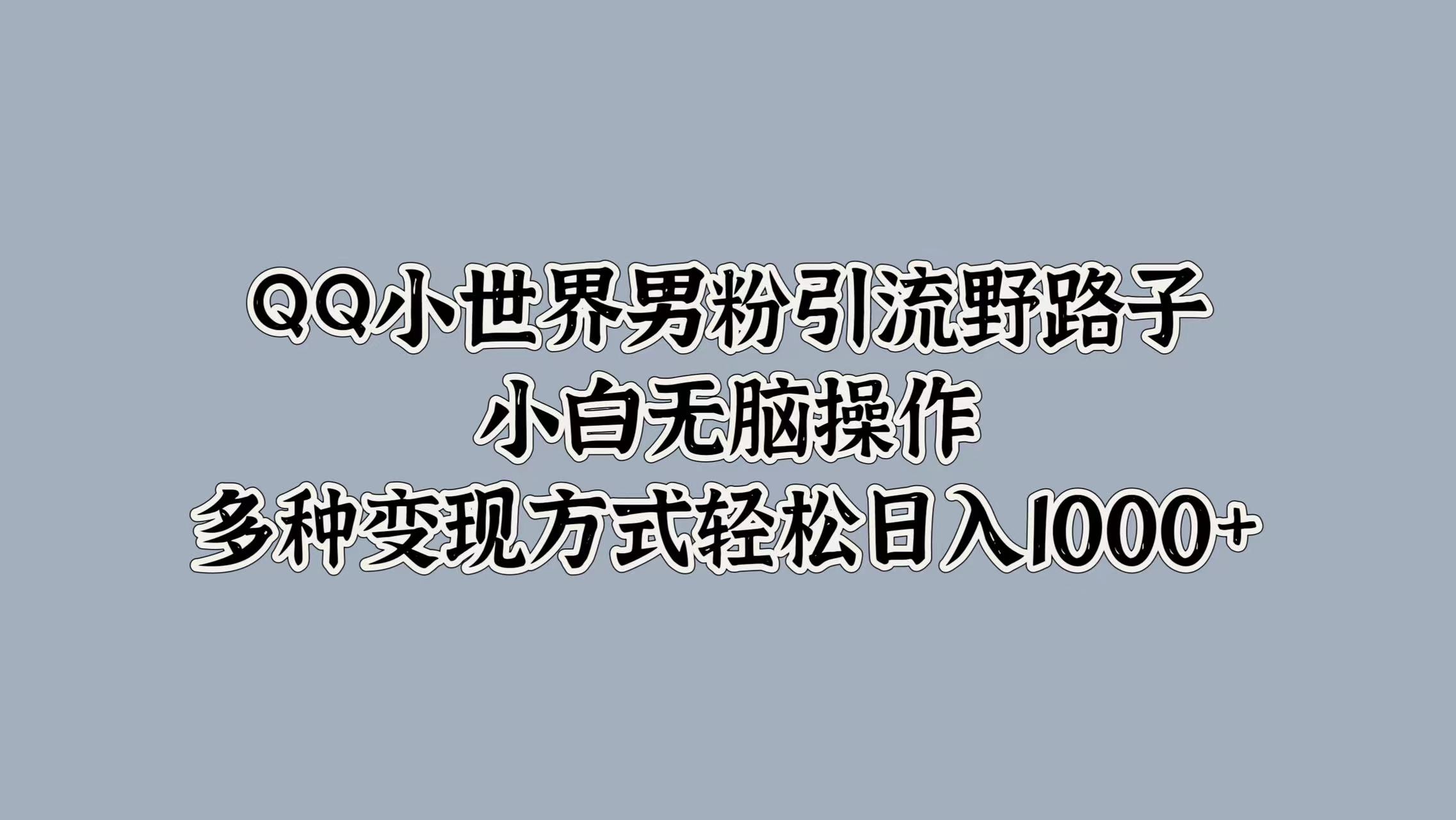 QQ小世界男粉引流野路子，小白无脑操作，多种变现方式轻松日入1000+_优优资源网