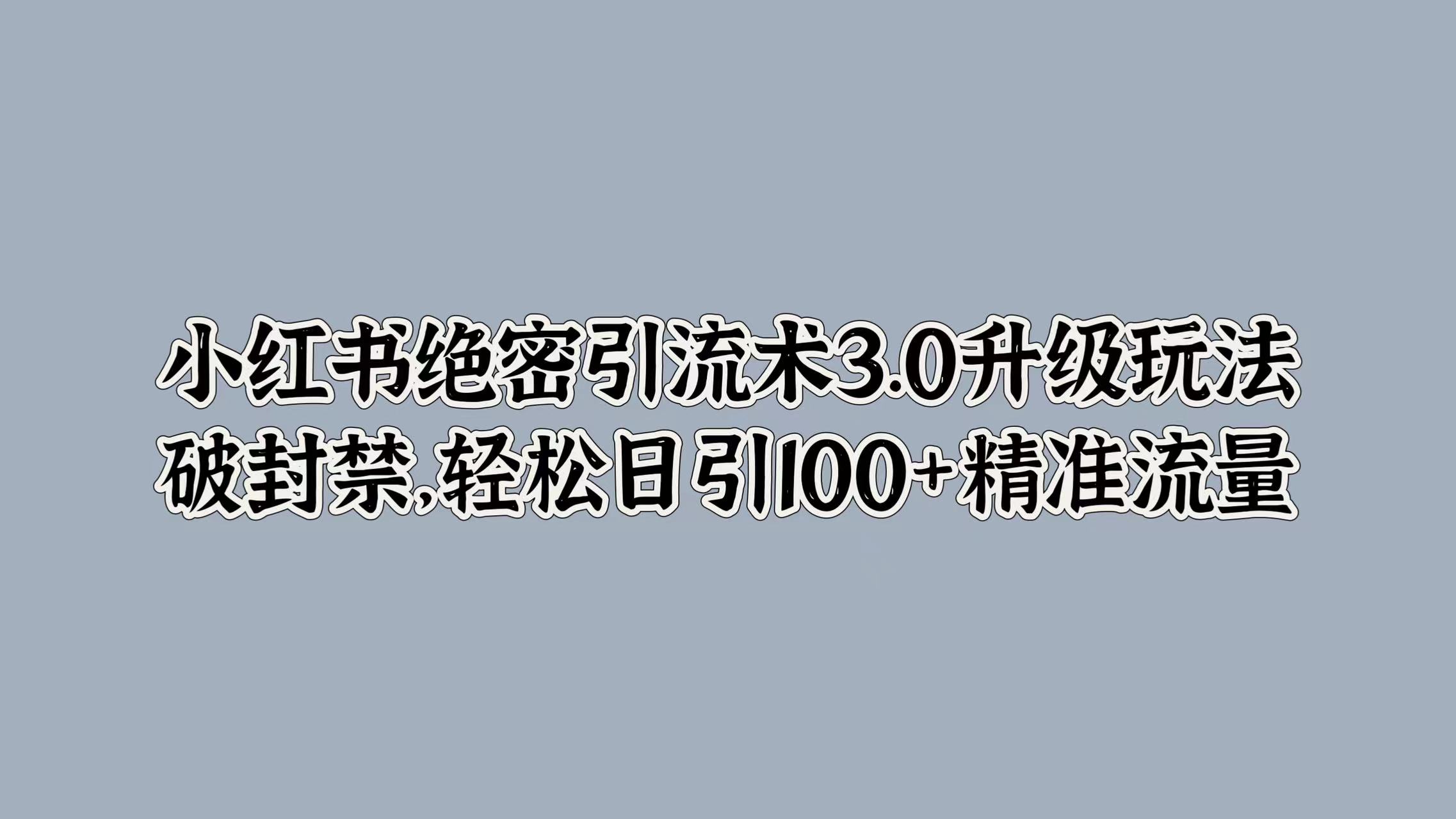 小红书绝密引流术3.0升级玩法，破封禁，轻松日引100+精准流量_优优资源网