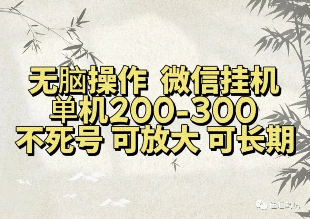 无脑操作微信视频号挂机单机200-300一天，不死号，可放大，工作室实测_优优资源网