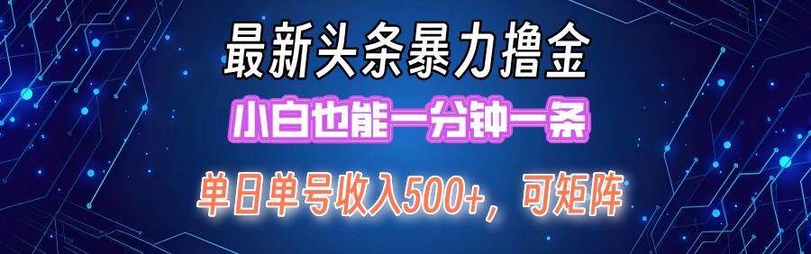 最新头条撸金，小白也能一分钟一条_优优资源网