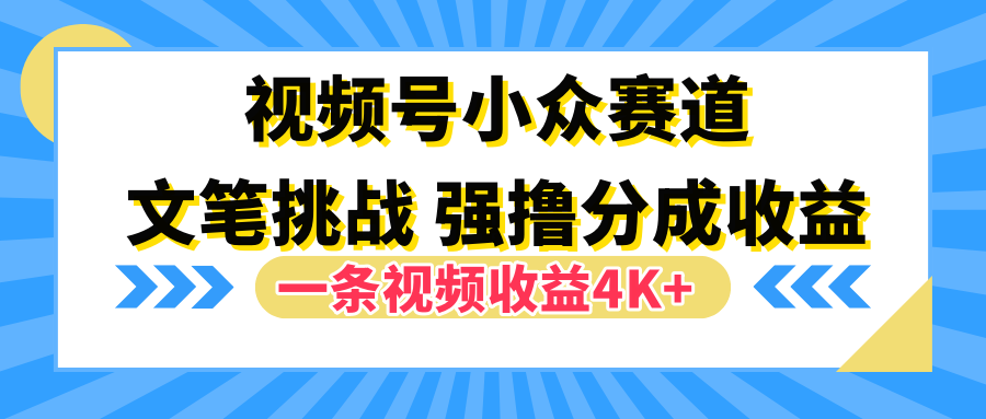 视频号小众赛道，文笔挑战，一条视频收益4K+_优优资源网