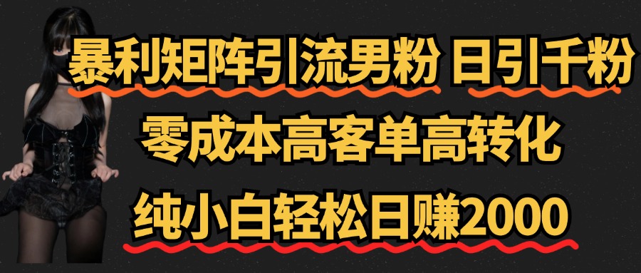 暴利矩阵引流男粉（日引千粉），零成本高客单高转化，纯小白轻松日赚2000+_优优资源网