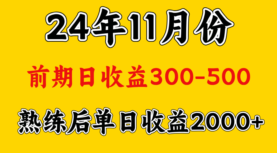 轻资产项目，前期日收益500左右，后期日收益1500-2000左右，多劳多得_优优资源网