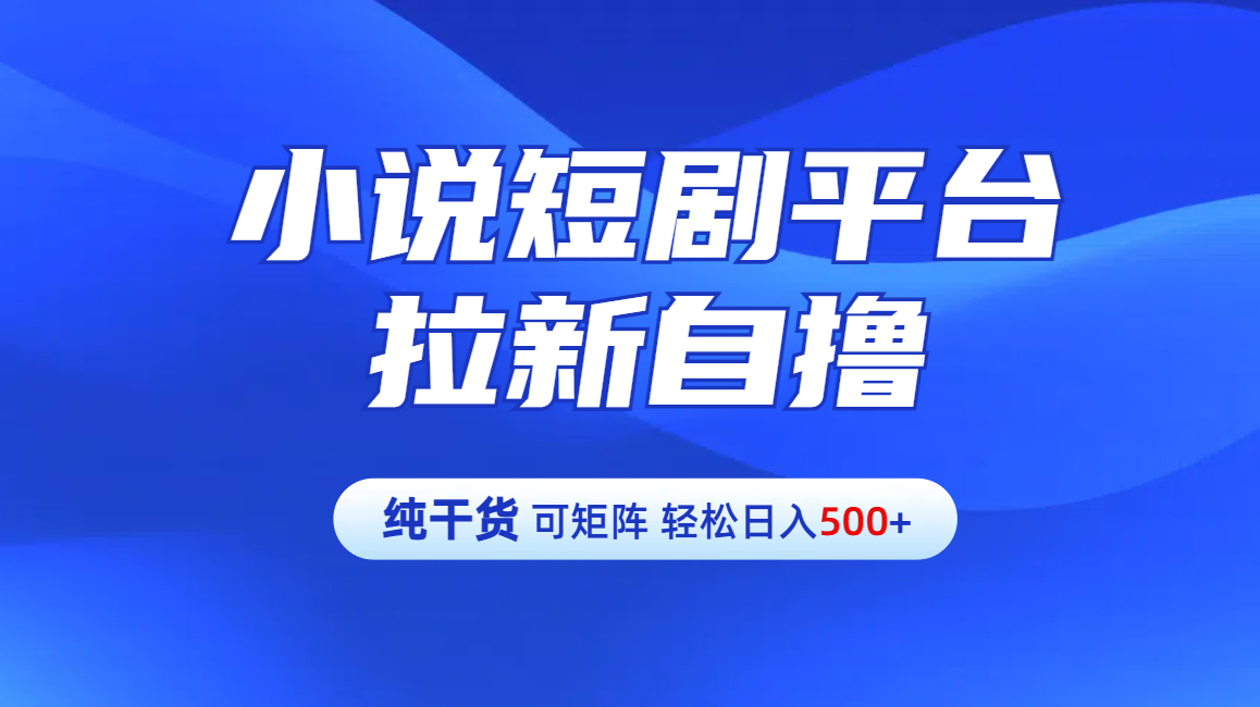 【纯干货】小说短剧平台拉新自撸玩法详解-单人轻松日入500+_优优资源网