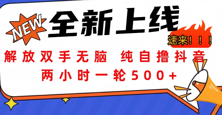 解放双手无脑 纯自撸抖音 两小时一轮500+_优优资源网