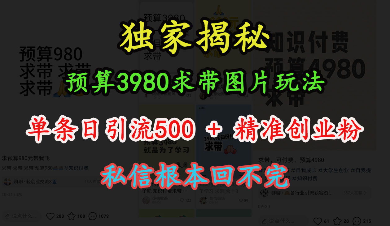 “小红书”预算3980求带 图片玩法，单条日引流500+精准创业粉，私信根本回不完_优优资源网