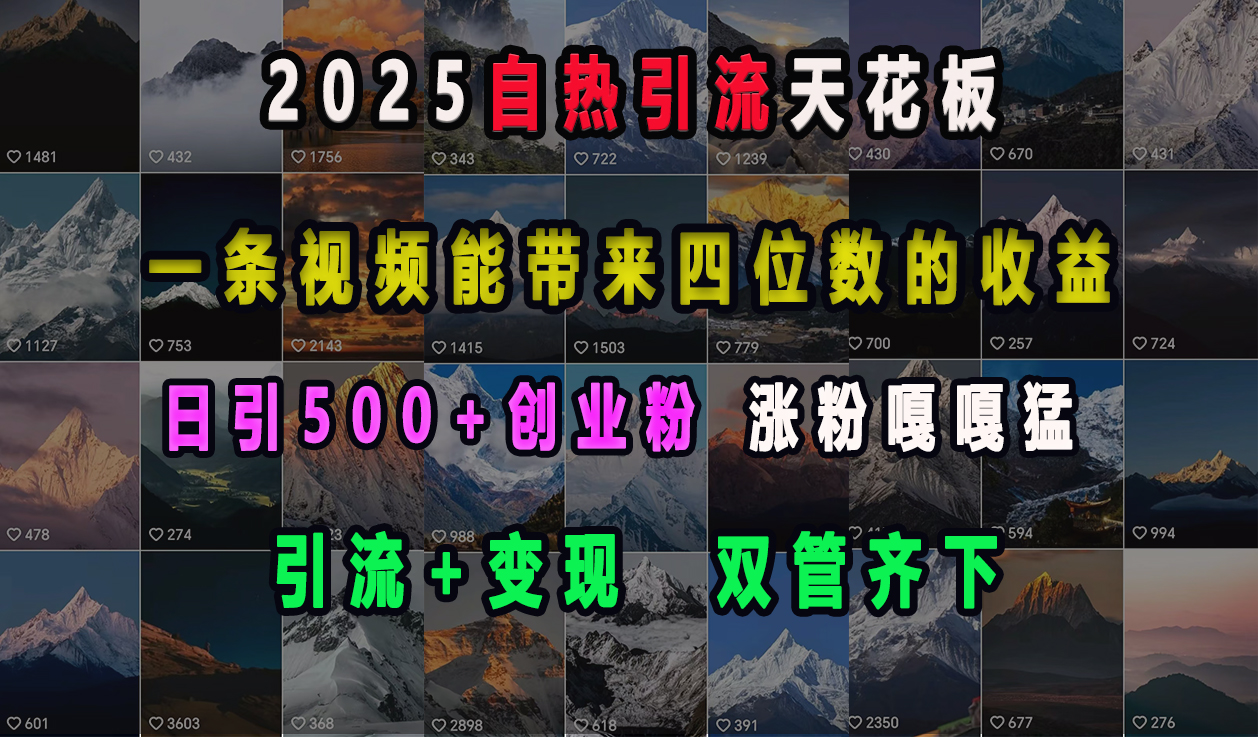 2025自热引流天花板，一条视频能带来四位数的收益，引流+变现双管齐下，日引500+创业粉，涨粉嘎嘎猛_优优资源网