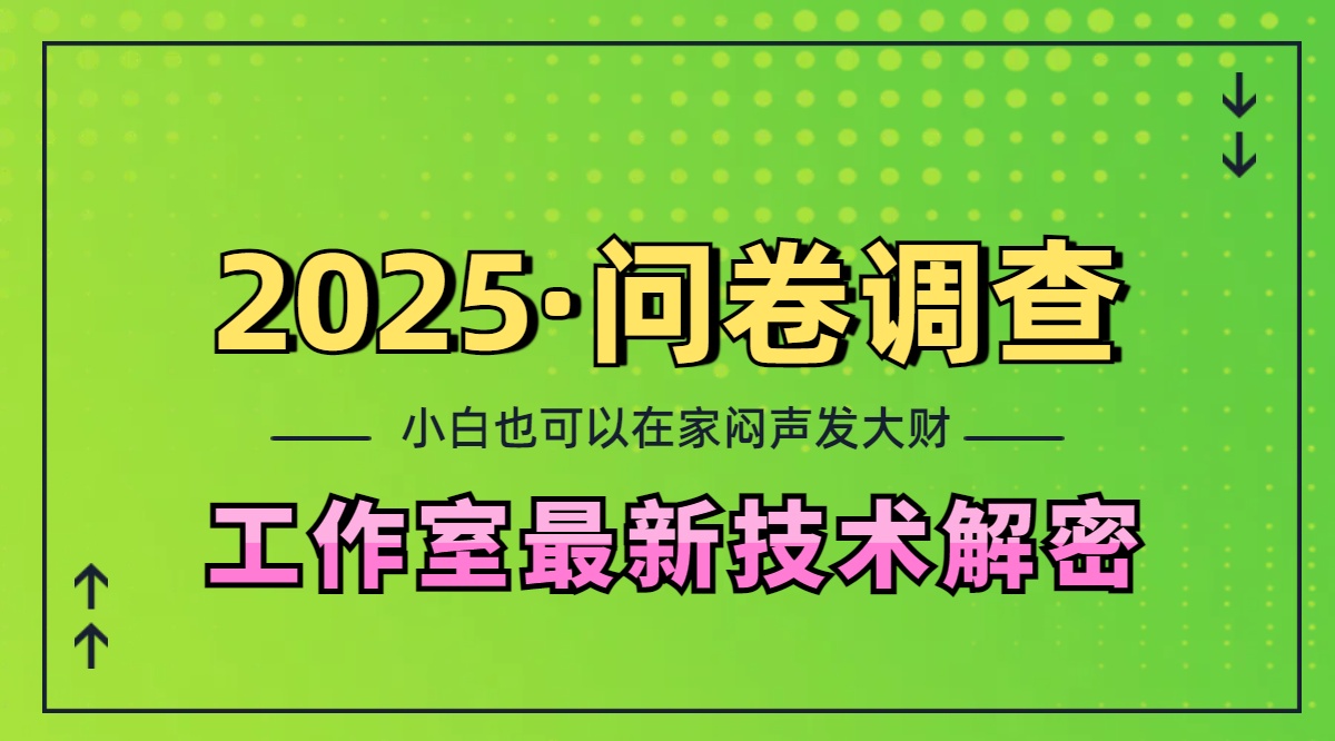 2025《问卷调查》最新工作室技术解密：一个人在家也可以闷声发大财，小白一天200+，可矩阵放大_优优资源网