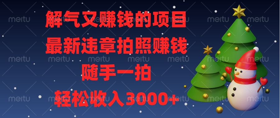 最新违章拍照赚钱，随手一拍，解气又赚钱的项目，轻松收入3000+_优优资源网