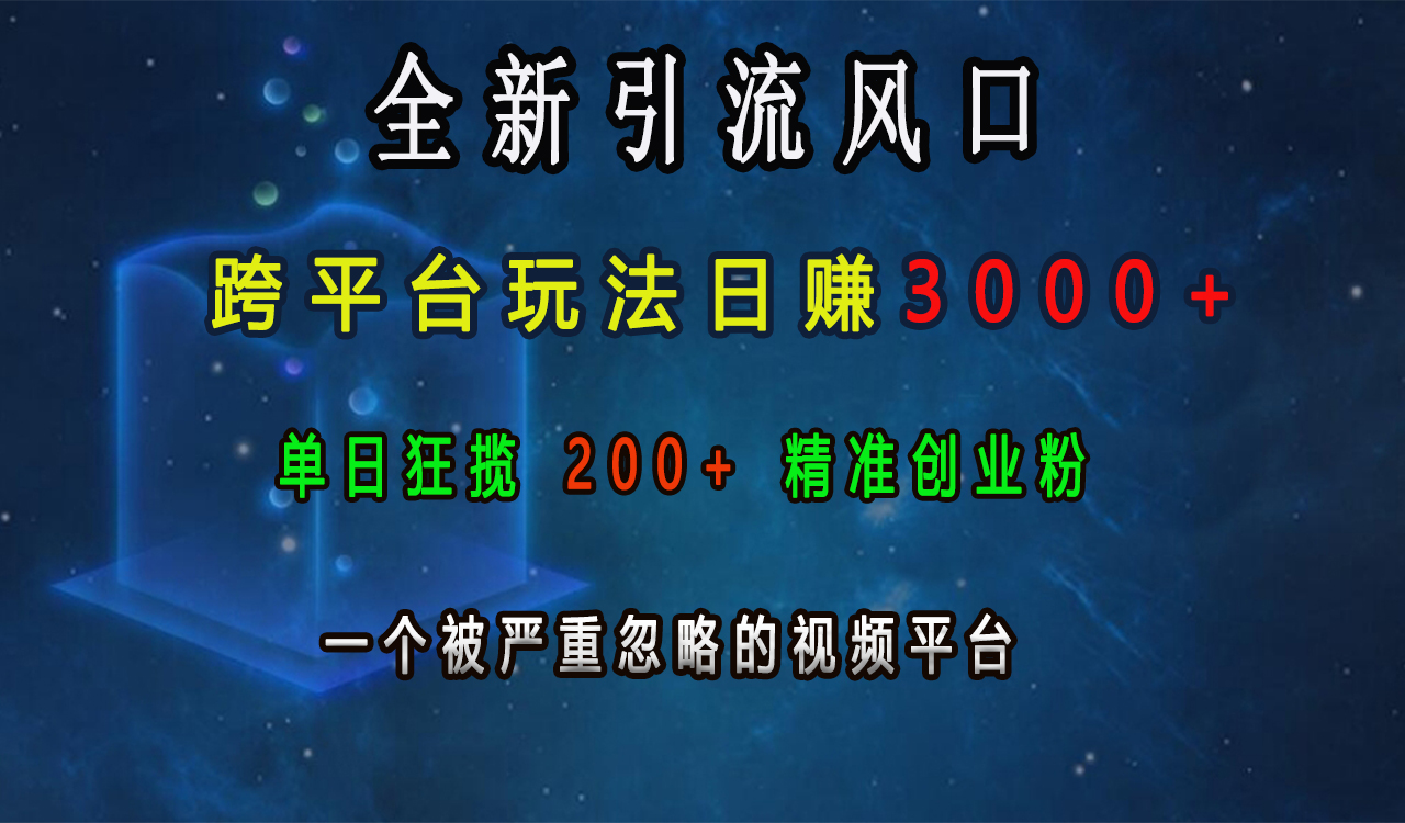 全新引流风口，跨平台玩法日赚3000+，单日狂揽200+精准创业粉，一个被严重忽略的视频平台_优优资源网