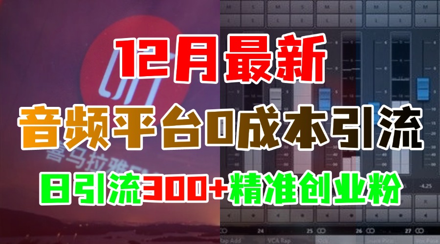 12月最新：音频平台0成本引流，日引300+精准创业粉_优优资源网