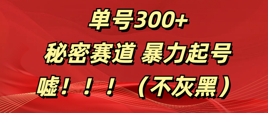 单号300+  秘密赛道 暴力起号  （不灰黑）_优优资源网