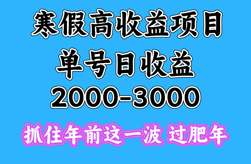 寒假期间一天收益2000-3000+，抓住年前这一波_优优资源网