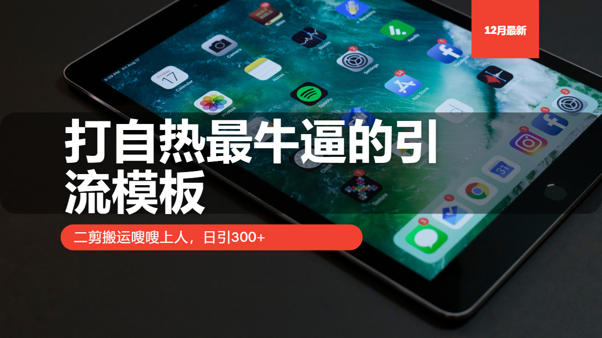 打自热最牛逼的引流模板，日引300+，二剪搬运嗖嗖上人_优优资源网