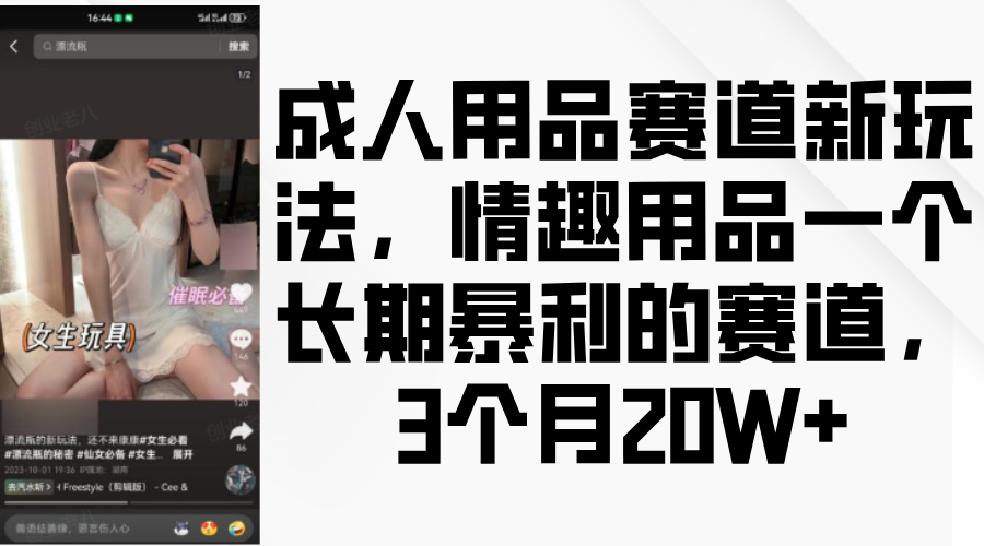 情趣用品一个长期暴利的赛道，成人用品赛道新玩法，3个月20W+_优优资源网