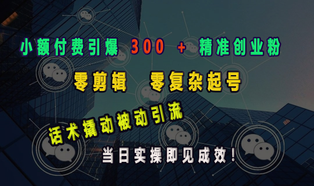 小额付费引爆 300 + 精准创业粉，零剪辑、零复杂起号，话术撬动被动引流，当日实操即见成效！_优优资源网