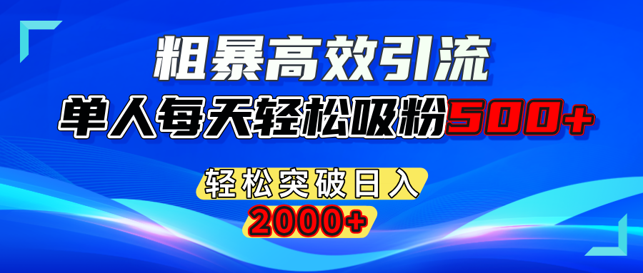 粗暴高效引流,单人每天轻松吸粉500+,轻松突破日入2000+_优优资源网