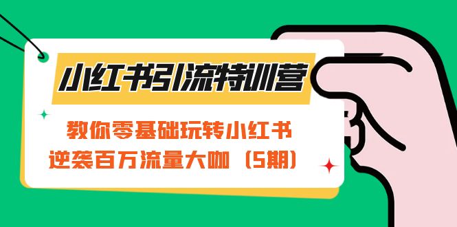 小红书引流特训营-第5期：教你零基础玩转小红书，逆袭百万流量大咖_优优资源网